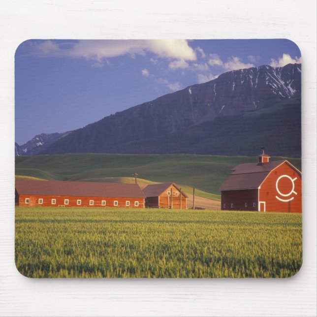 Mousepad Campo de trigo no Vale de Wallowa, logo fora (Frente)