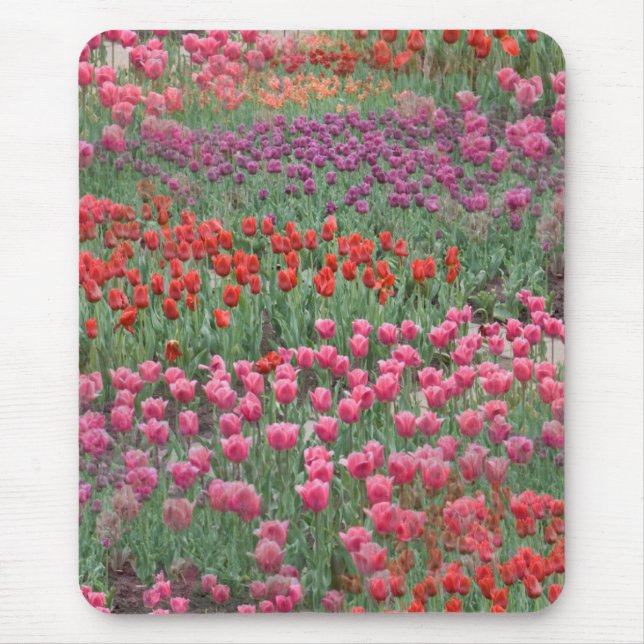 Mousepad Campo De Tulipas (Frente)