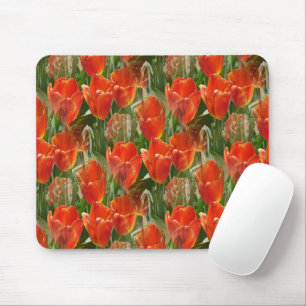 Mousepad Campo de Tulipas......