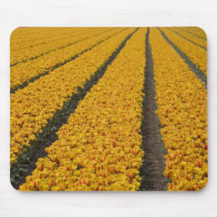Mousepad Campo de tulipas, Holanda