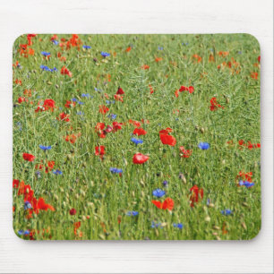 Mousepad Campo de Verão com flores vermelhas e azuis