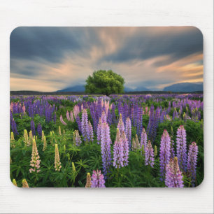 Mousepad Campo do Lupin em Nova Zelândia