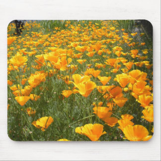 Mousepad Campo dos sonhos