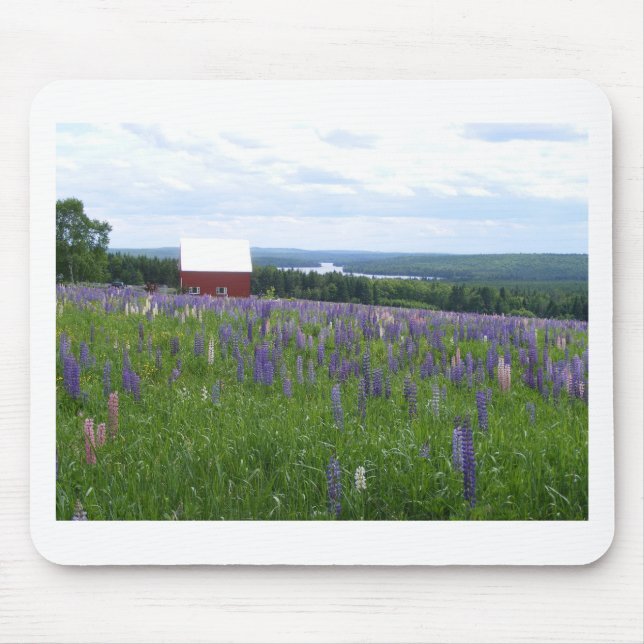 Mousepad Campo Éstocolmo dos Lupines de Maine, MIM (Frente)