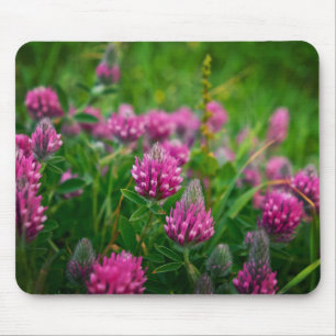 Mousepad Campo primavera