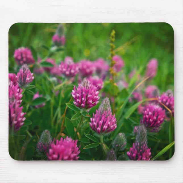 Mousepad Campo primavera (Frente)