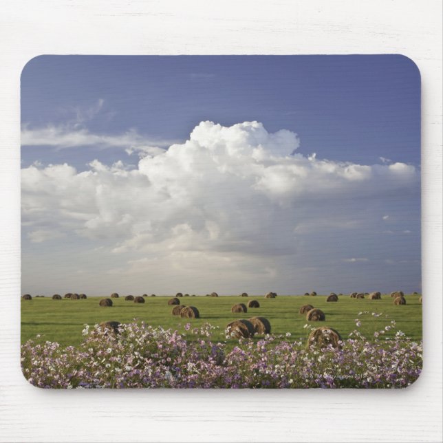 Mousepad Campos da colheita com flores do cosmos dentro (Frente)