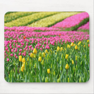 Mousepad Campos de Cores