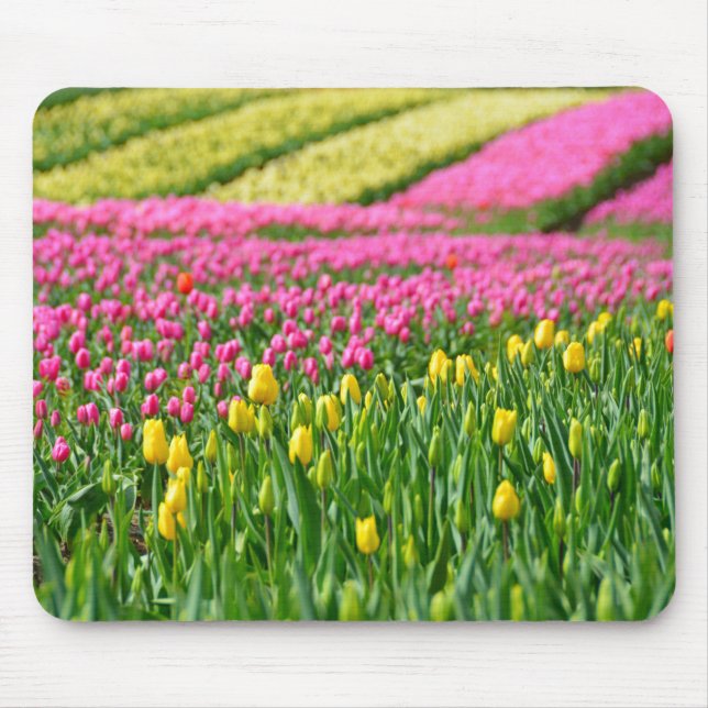 Mousepad Campos de Cores (Frente)