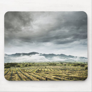 Mousepad Campos rurais da colheita sob o céu nebuloso
