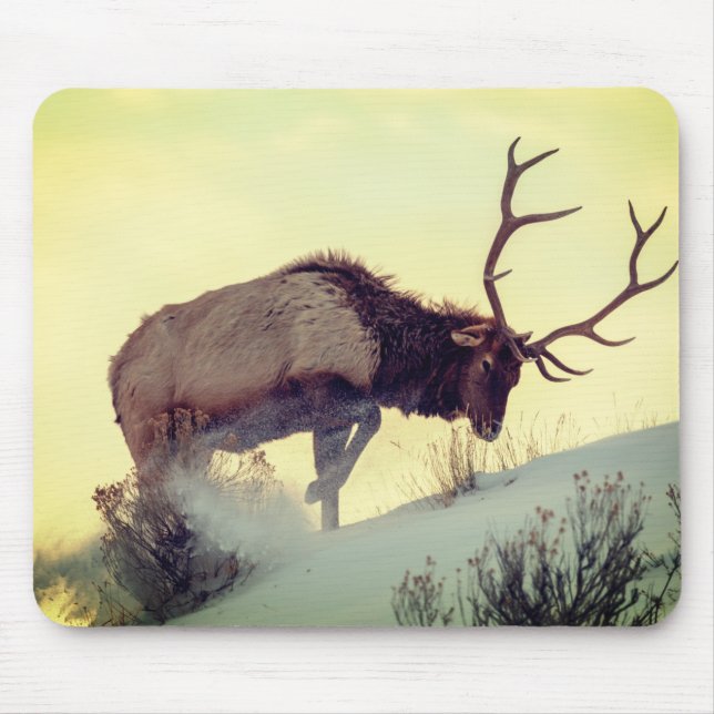 Mousepad camundongo veado extra grande cheio velocidade da  (Frente)