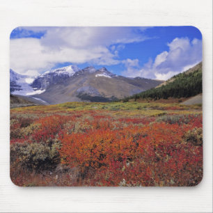 Mousepad Canadá, Alberta, Banff NP. Mirtilos em flor