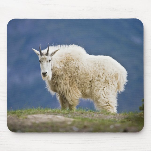 Mousepad Canadá, Alberta, Jasper National Park (Frente)