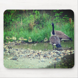 Mousepad Canadá Goose Family Babies Nature