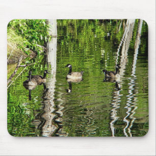 Mousepad (Canadá) Goose Green