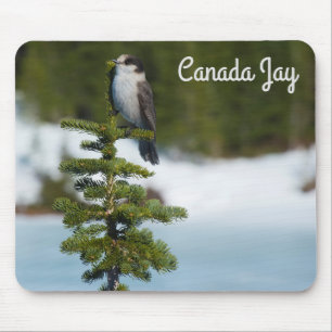 Mousepad Canada Jay
