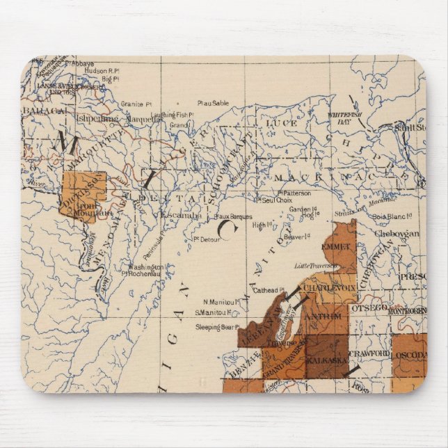 Mousepad Cancer 104, tumor Michigan (Frente)