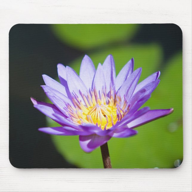 Mousepad Cancun, México (Frente)