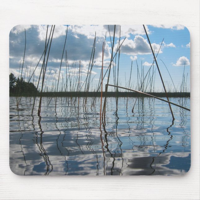 Mousepad Cane e reflexos no Lago Rice (Frente)