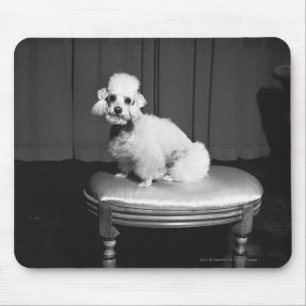 Mousepad Caniche branca que senta-se no tamborete B&W