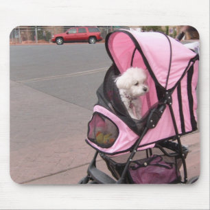 Mousepad Caniche pequena bonito em um carrinho de criança