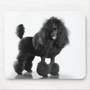 Mousepad Caniche preta aparada
