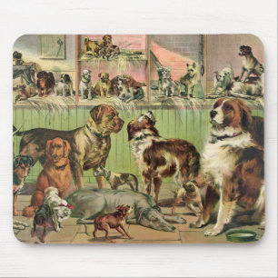 Mousepad Canina
