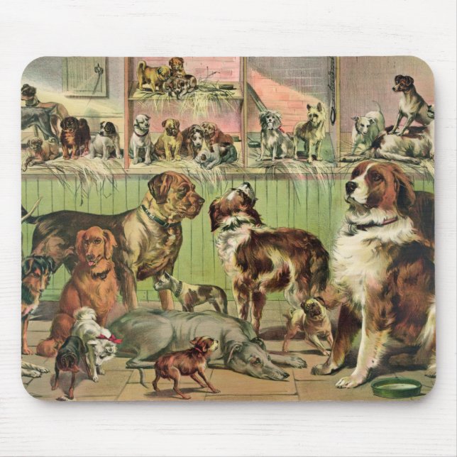 Mousepad Canina (Frente)
