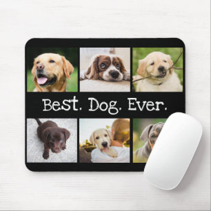 Mousepad Caninos Divertidos 6 Colagem Fotográfica Melhor C