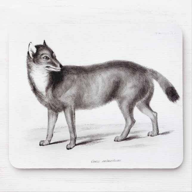 Mousepad Canis Antarcticus (Frente)