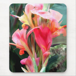 Mousepad Cannas bonito no rosa