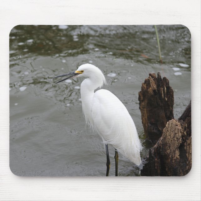 Mousepad Cantando Snowy Egret (Frente)