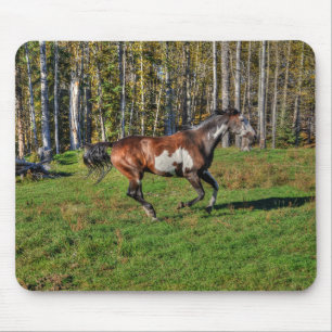 Mousepad Cantering Paint Stallion & Forest Equine Photo