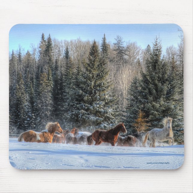 Mousepad Canterna, Cavalos Correntes na Foto da Neve de inv (Frente)