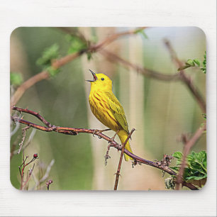 Mousepad Cantor amarelo de Warbler