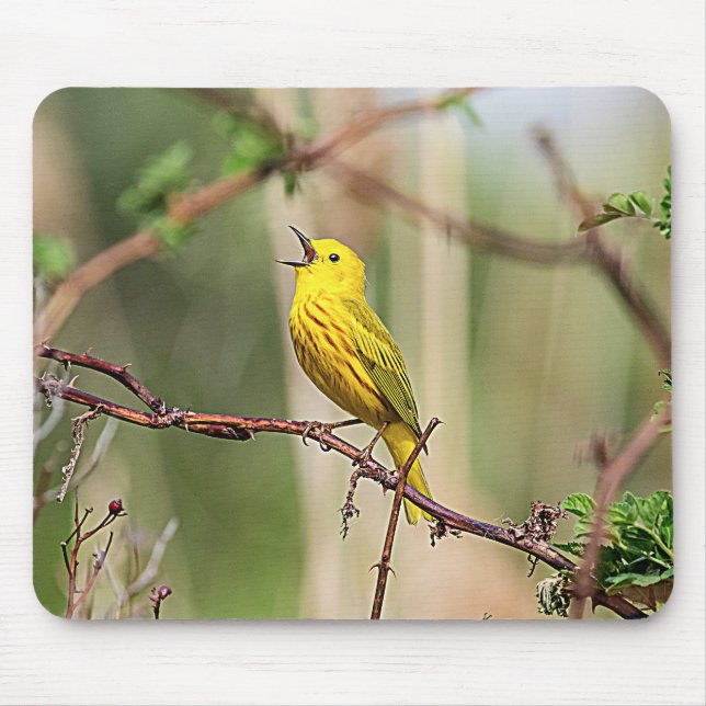 Mousepad Cantor amarelo de Warbler (Frente)