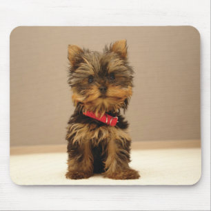 Mousepad cão1