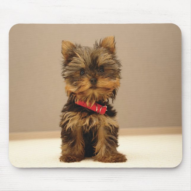 Mousepad cão1 (Frente)