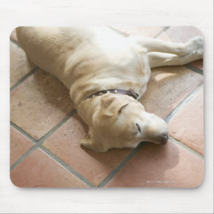Mousepad Cão 3