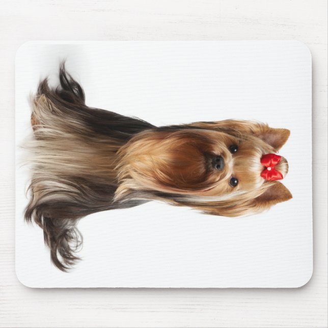 Mousepad Cão adorável bonito (Frente)