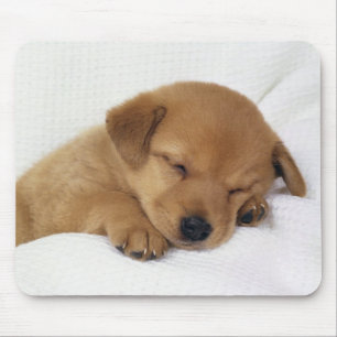 Mousepad Cão bonito do bebê