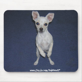 Mousepad Cão bonito Up-Mousepad.