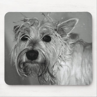 Mousepad Cão bonito - Westie (montanhas ocidentais Terrier)