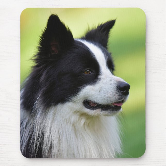 Mousepad Cão Border Collie Preto e Branco (Frente)