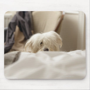 Mousepad Cão branco que esconde atrás da cama (foco