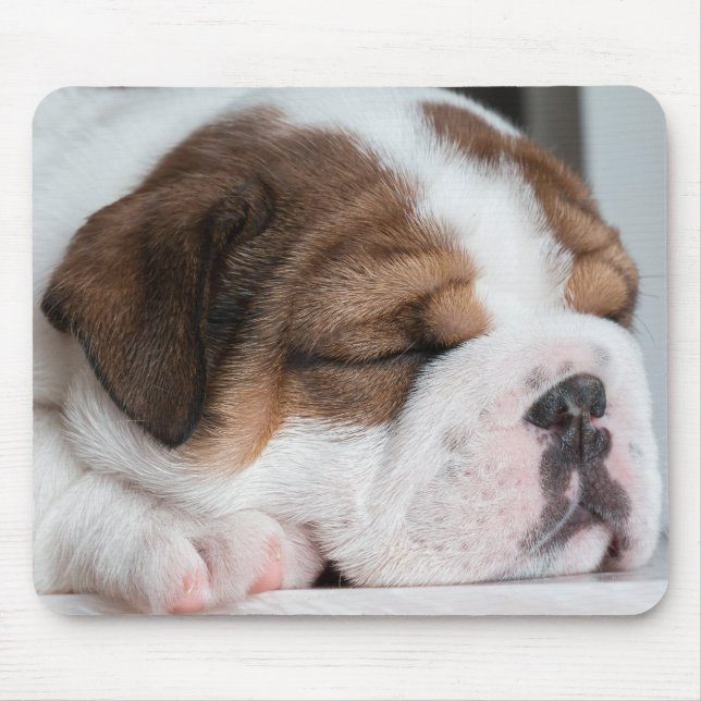Mousepad cão, cachorrinho, animal de estimação (Frente)
