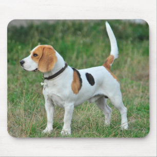 Mousepad Cão Cachorro