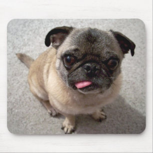 Mousepad Cão Cachorro Cachorro Cachorro Cachorro Saindo A