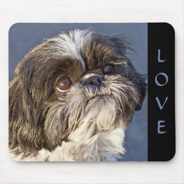 Mousepad Cão Cachorro Cachorro Shih Tzu (Frente)