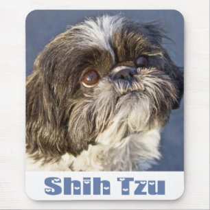 Mousepad Cão Cachorro Cachorro Shih Tzu